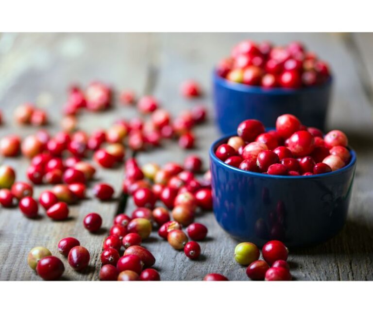 cranberries-red-fruit-
