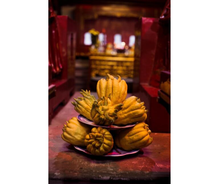 exotic-fruit-buddhas-hand